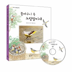 꽃바구니 속 노랑할미새 (우리 새 생태 동화 5)